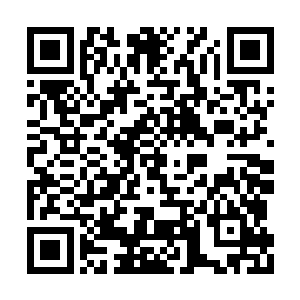 指挥或者积极参加聚众强行侵入国家机关的活动二维码生成