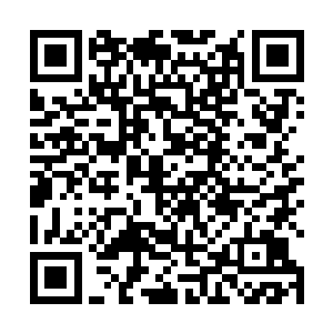 指挥着柳清雪和陈景皓他们一起躲在了一个路灯的后面二维码生成