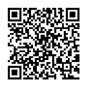 指明陈小练和备胎成为这支一百人的佣兵队的指挥官二维码生成