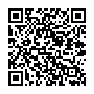 指望他那个长辈能从骨简中记载的文字发现一些有用的东西二维码生成