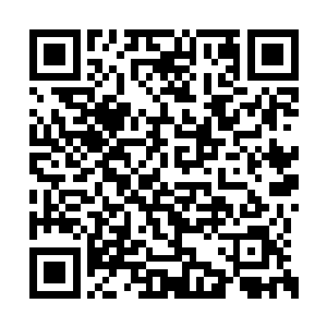 指望我一个目前没什么兵力的残疾人去救你航哥二维码生成