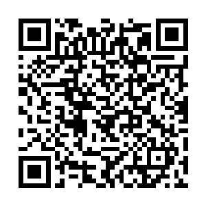 指的也就是那个可以将皮克斯挂到对手身上的e技能二维码生成