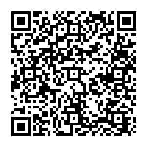 指的就是斩杀的十几个高等黑魔族和灰袍老者以及那个紫雷宫的好色少主得到的空间戒指二维码生成