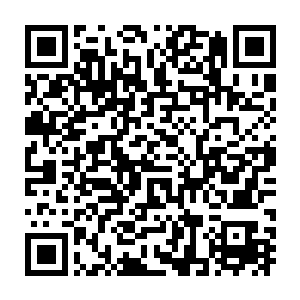 指的是高级妖尸可以将自己咬的那个低级妖尸体内的生力血精收回二维码生成