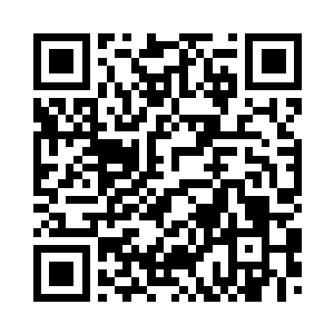 指着莱戈拉斯小心翼翼呵护的种子二维码生成