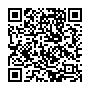 指着那些平日里在世俗百姓面前高深莫测的修士们二维码生成