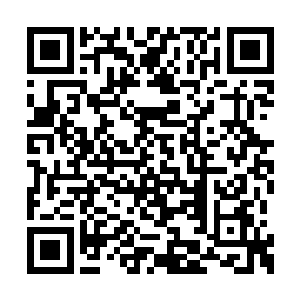 指着那些还在不停的朝着里面挤去的灵体苦笑道二维码生成