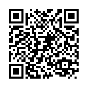 指着那杨树断开的断面轻声向霍君白招呼二维码生成