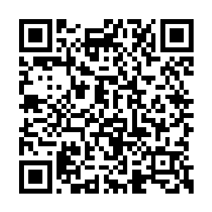 按你以前形容的……那小道士不该是这样的人啊二维码生成