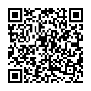 按在萧韵儿手臂上稍稍用力将贺兰明若握着的那只手弹开二维码生成