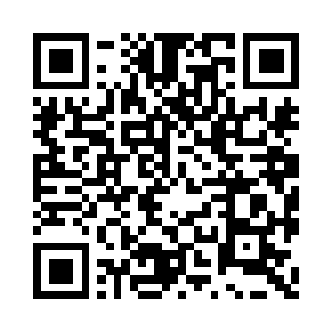 按照上辈子林小鸟来找自己的时候的样子二维码生成