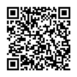 按照丹鼎门玄虚子传承中一个练气期丹药的配方二维码生成