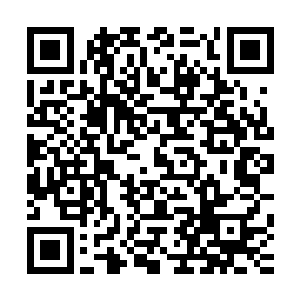 按照之前你们前两天定下的比赛规则不是要本人喊输才可以吗二维码生成