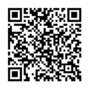 按照刚刚斩断林烽的那一股强大力量的强度来看二维码生成