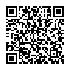 按照劫天运的脉络分布图不断的形成另一道脉络二维码生成