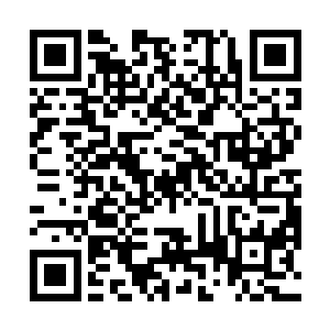 按照常理分析越是年代越久远的僵尸他的尸气越是强大二维码生成