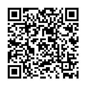 按照我的脾气我其实想在订婚典礼上揍曲歌一顿的二维码生成