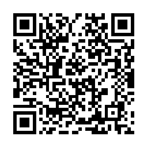 按照某种通行于太夏官方和骑士圈子里面的潜规则来说二维码生成