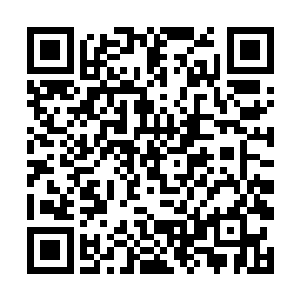 按照正常情况下我们龙家现在去天域的确是自取灭亡二维码生成