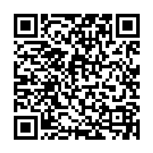 按理说不应该有如此浓郁的尸气……其他的变异生物二维码生成