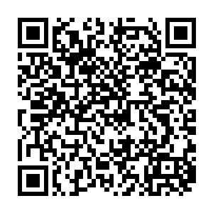 按理说刚刚孙子轩的治疗已经成功的将杨晓芸肌肤上残留的火毒完全祛除掉了二维码生成