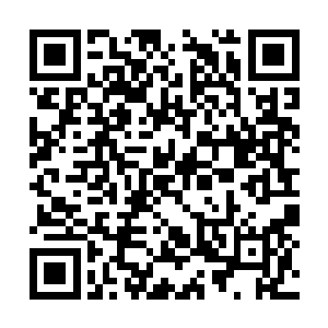 按理说唐洪运他们不会把自己的信息透露给别人的二维码生成