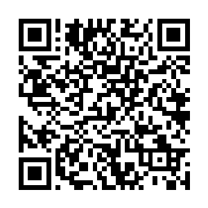 按理说大白浑身白色在黑暗中还是可以看到一点的二维码生成