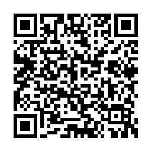 按理说普通属性的基本元素是无法伤害到神兽的二维码生成