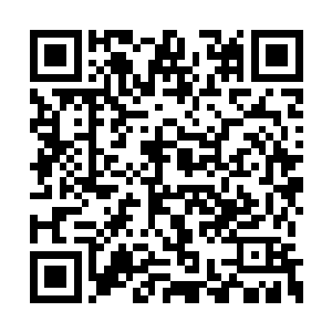 按理说离着天剑仙门甚至赵家都有很长一段距离二维码生成