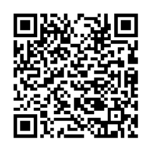 按理说这一次的破灭黄龙应由其余三海龙宫之一得二维码生成