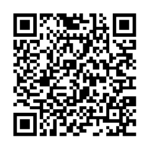 按理说这位出来也要表示一下不过这直接给了一单子二维码生成