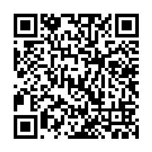 按理说这老太太在京城贵族圈里也是有几十年的人物了二维码生成