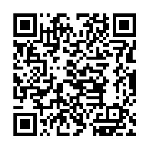 按着前几年的形势能捕到份额的百分之八十就算丰收了二维码生成