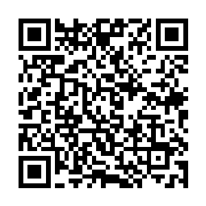 按说依着这男孩的模样和穿戴必是个大户人家的公子二维码生成