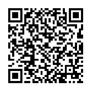 按说江南乱成这样……你知道江南本年的税负有多少二维码生成