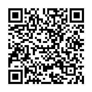 按说这场婚约不过就是凤瑾元跟步家做的一笔交易二维码生成