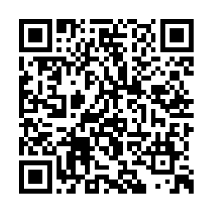 按说这时候舰里的外域仙人们正该拦截击杀一批二维码生成