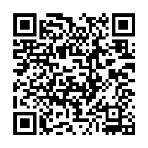 按道理府门口应该站立神翼族和神晶族的护卫才对二维码生成