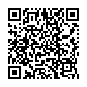 挑战虚天塔对于龙傲天来说也是一个巨大的机缘二维码生成