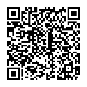 挑衅的眸光瞬也不瞬的望着对面那张瞬间因为她的举动而变得扭曲和狰狞的脸二维码生成