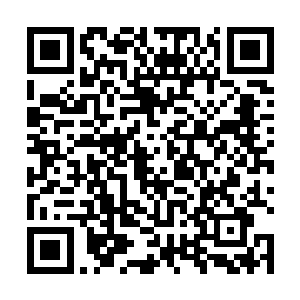 挖出心肺……仿佛在刻意的向铁战二人展示他们的凶残二维码生成