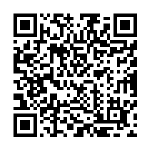 挖掘出一枚晶体后被一群杀不死的小尾巴撵的跟狗似得乱跑二维码生成
