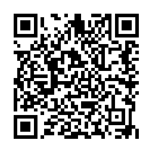 挖空了心思却都是那些想要攀上连家这根枝的人二维码生成