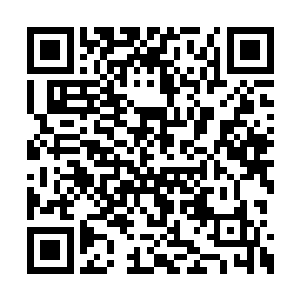 挡住了人却挡不住百姓手里始终不停砸出的东西二维码生成