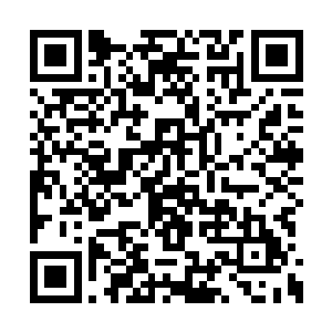 挡在了柯弄影天凤大帝以及衣飘飘等人这个方向二维码生成