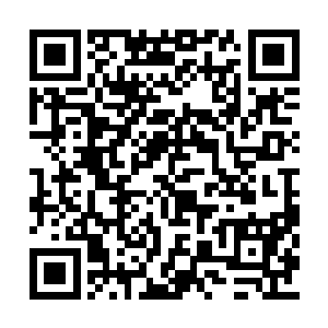 挡在他俩前面的那些混混们都连忙对我拳打脚踢二维码生成