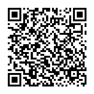 挡在霍君白身上最上层的圣兽白虎的身体彻底被这暴风印一击砸的凹陷了进去二维码生成