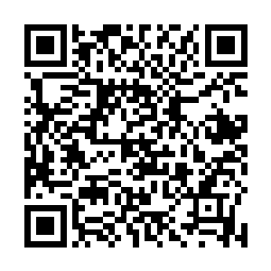 挣扎间流光猛然将自己的尖嘴刺入了老虎的一只眼窝里二维码生成