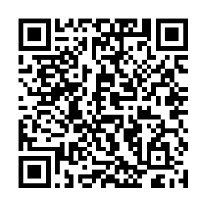 挥动的旗语与昏暗中监视的眼睛正拱卫着长长的街道二维码生成