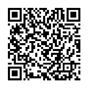 挥手让兄弟们把主子们的行李箱全都送进了大厅门口二维码生成